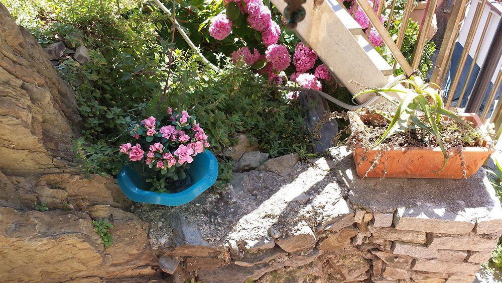 Affittacamere Elisabetta Vernazza Buitenkant foto
